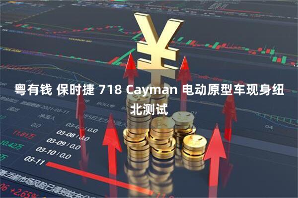 粤有钱 保时捷 718 Cayman 电动原型车现身纽北测试