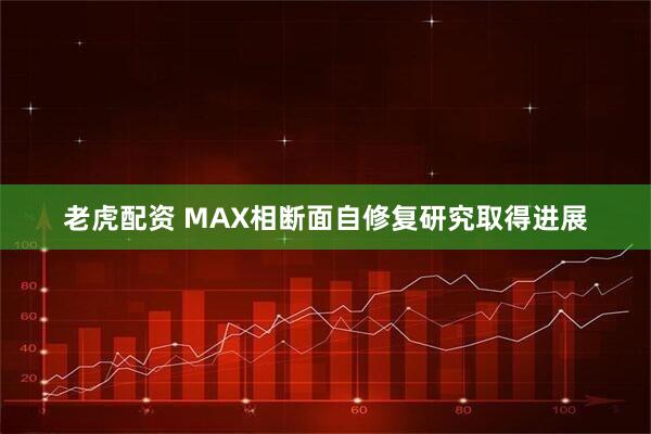 老虎配资 MAX相断面自修复研究取得进展