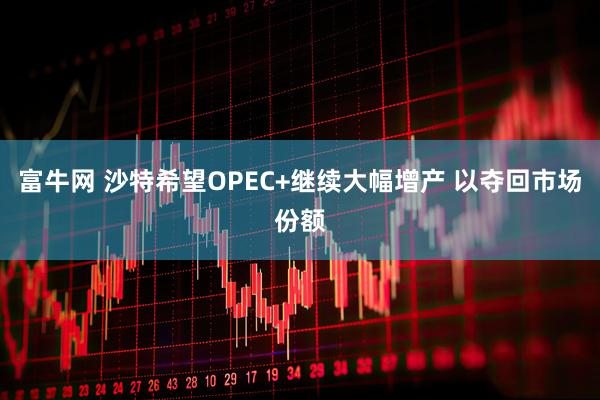富牛网 沙特希望OPEC+继续大幅增产 以夺回市场份额