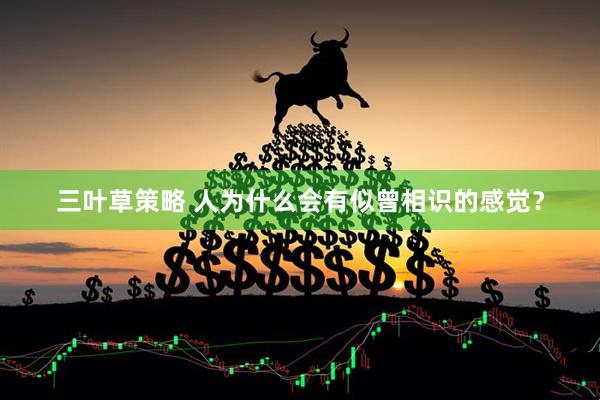 三叶草策略 人为什么会有似曾相识的感觉?