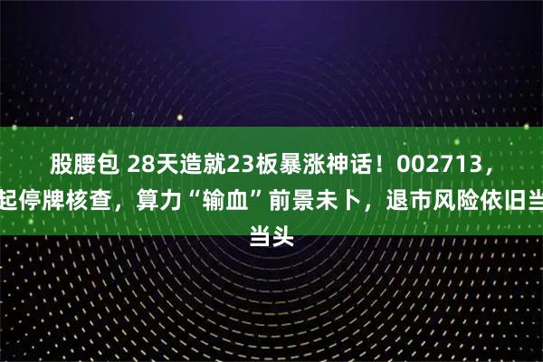 股腰包 28天造就23板暴涨神话!002713,今起停牌核查,算力“输血”前景未卜,退市风险依旧当头