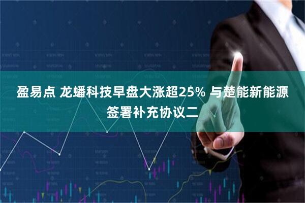 盈易点 龙蟠科技早盘大涨超25% 与楚能新能源签署补充协议二