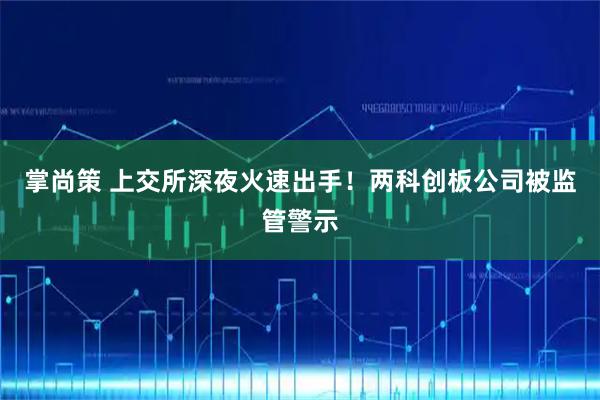 掌尚策 上交所深夜火速出手！两科创板公司被监管警示